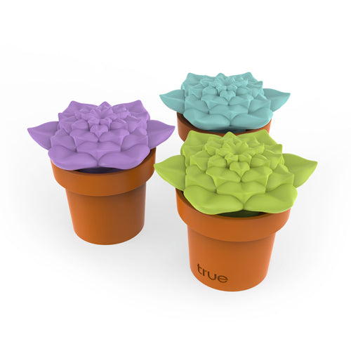 Tipsy Terrarium™ Stopper & Pourer