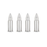 Stainless Steel Bullet Glacier Rocks® by Foster and Rye