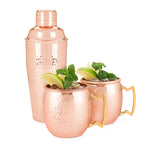 Old Kentucky Home™ Hammered Copper Bar Set by Twine