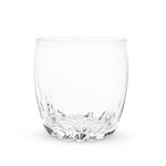 Raye: Crystal Cactus Tumblers (VISKI)