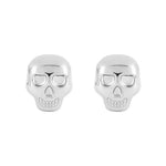 Stainless Steel Skull Glacier Rocks Set of 2