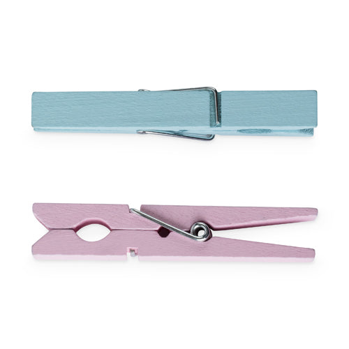 Iridescent Medium Wood Clothespins Set of 12