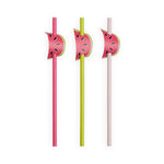 Assorted Watermelon Straws