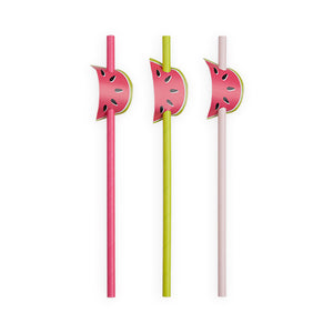 Assorted Watermelon Straws