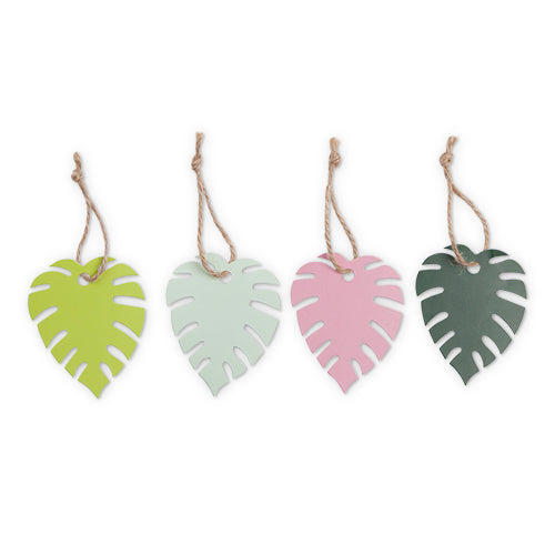 Assorted Monstera Tags