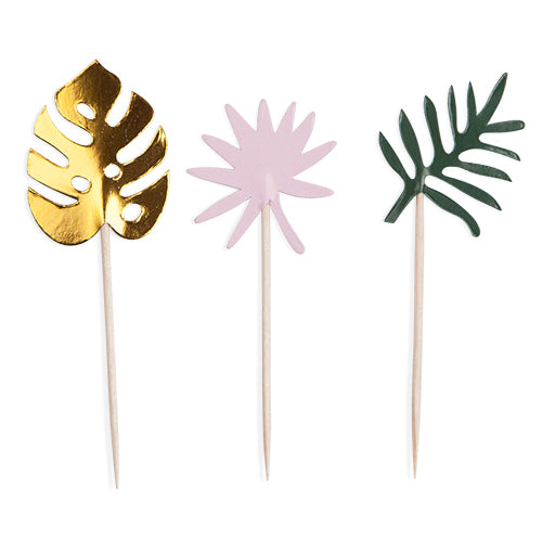 Assorted Monstera Treat Pick