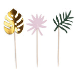 Assorted Monstera Treat Pick