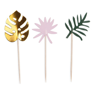 Assorted Monstera Treat Pick