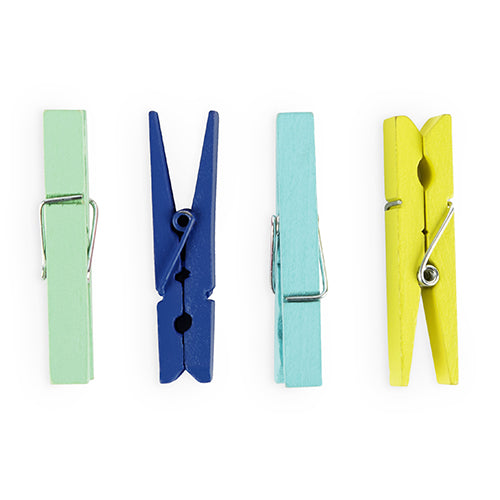 Assorted Bloom Multi Small Clothespins