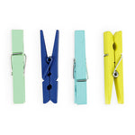 Assorted Bloom Multi Small Clothespins