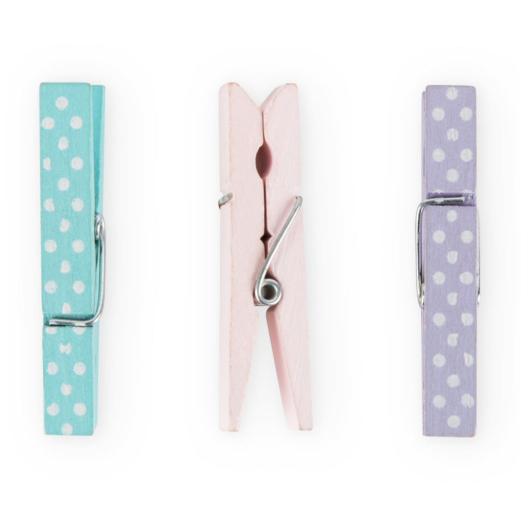 Assorted Polka Dot Small Clothespins