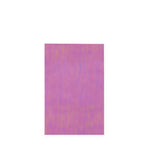 Iridescent Cellophane Treat Bags